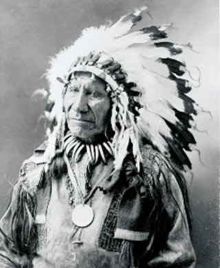 Chief American Horse