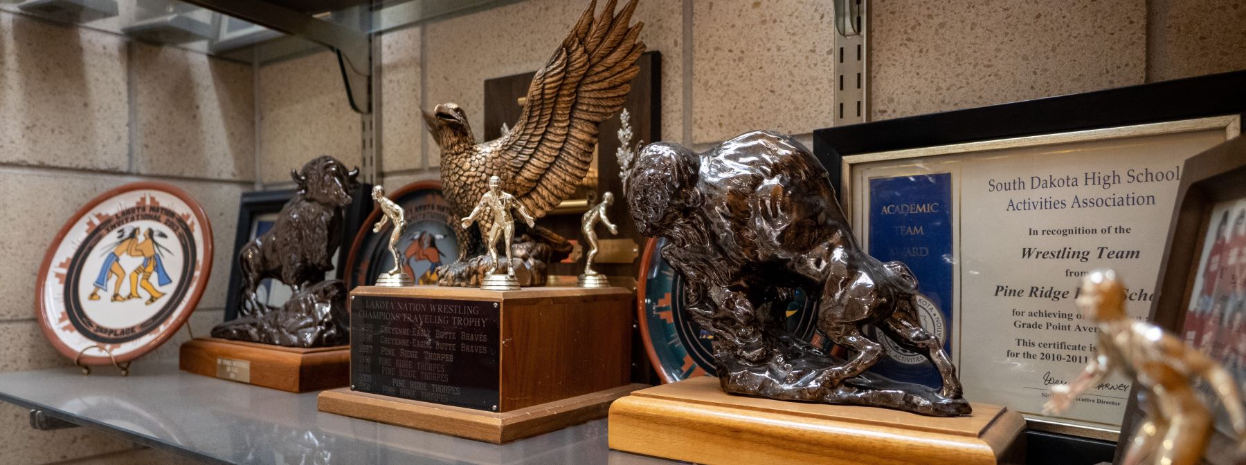 A collection of awards and trophies neatly arranged on a shelf, highlighting accomplishments.